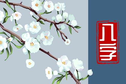 四柱案例拆解顺序