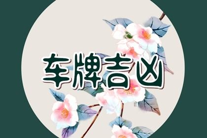 六爻结构能看什么