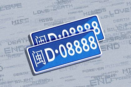 车牌号也要看吗