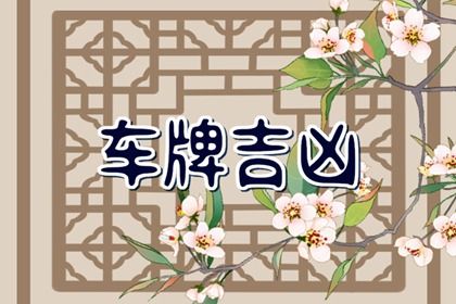 数字谐音的双面
