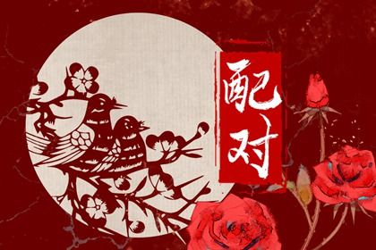 纳音看家族缘分