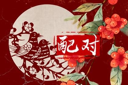 阴干日主的冲突模式
