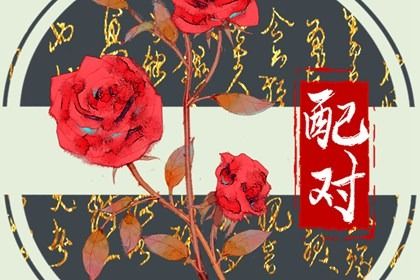 流年合太岁会怎样