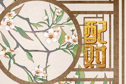 现代婚恋中的合婚角色