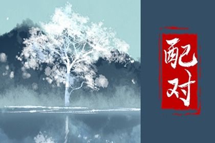 分数高代表什么