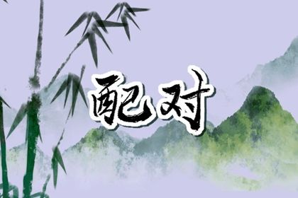 理想伴侣的时间观