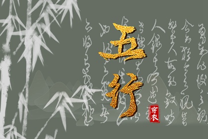 日柱纳音重点
