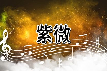 结果里的术语看不懂