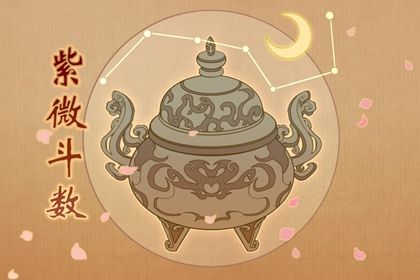 本命宿怎样搭配来看